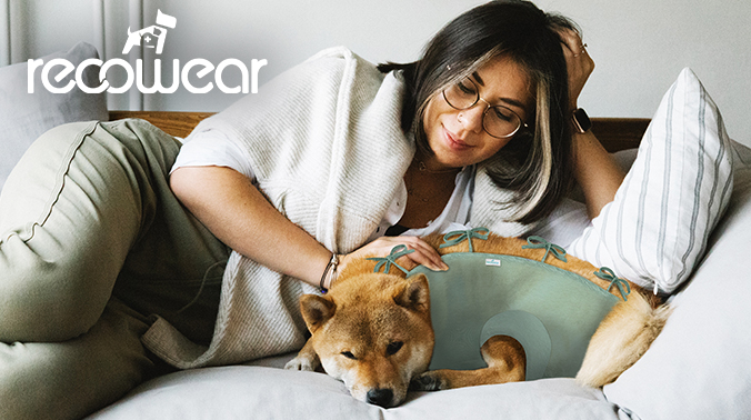 Vêtements de protection pour animaux