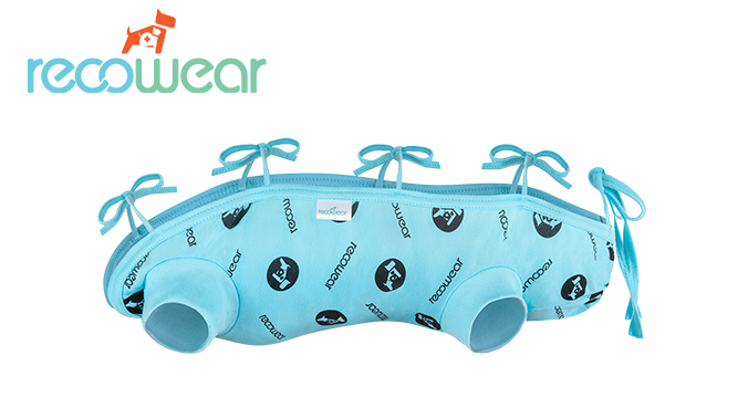 Vêtements de protection pour animaux avec des ions d'argent